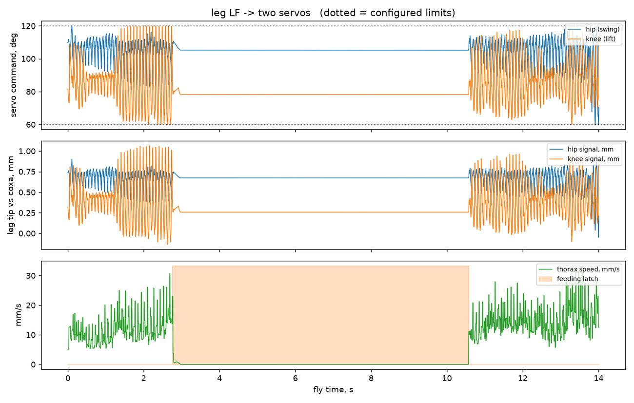 Three line charts over 14 seconds of fly time: the hip and knee angles sent to the servos, the leg tip's movement, and the fly's walking speed. In the middle, all three go flat while the fly stops to eat.