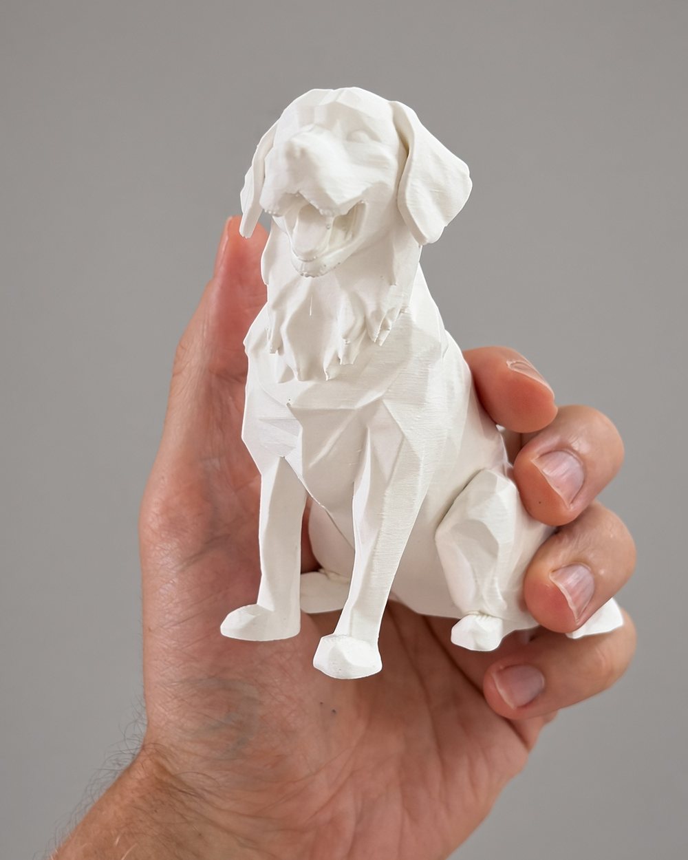 Chú chó low-poly màu trắng đang ngồi, cầm trên tay trước bàn làm việc